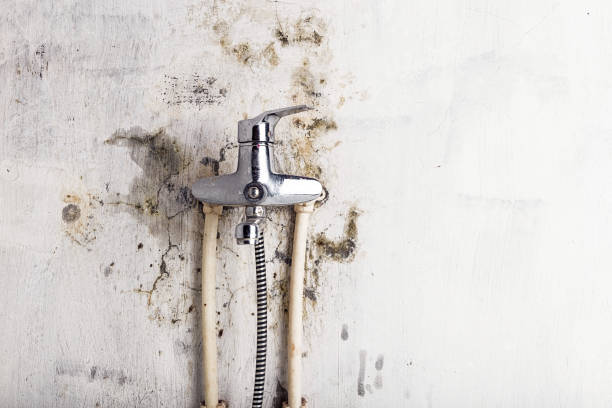 Best Mold Testing  in Reidville, SC