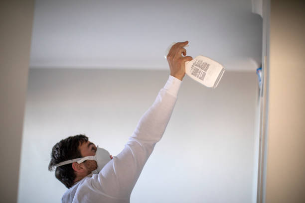 Best Office Mold Removal Services  in Reidville, SC
