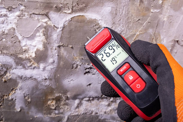Best Mold Damage Repair  in Reidville, SC