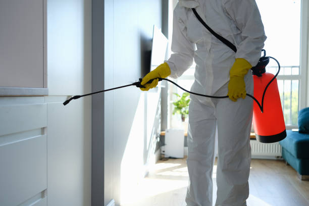 Reidville, SC Mold Removal Company