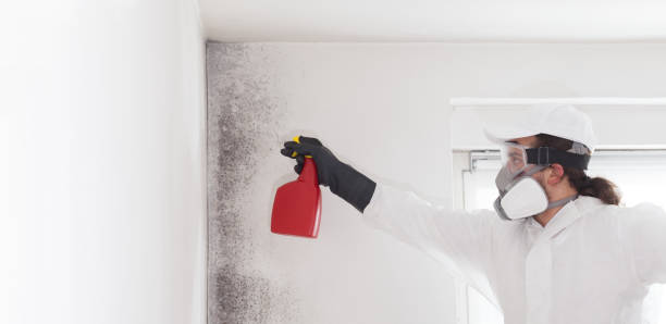 Crawl Space Mold Removal in Reidville, SC