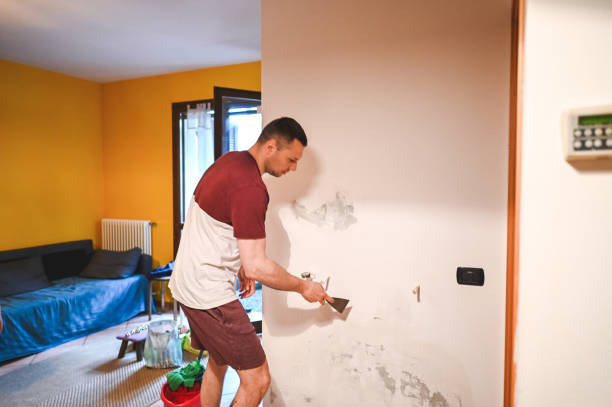 Best Emergency Mold Removal  in Reidville, SC