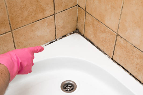 Best Professional Mold Removal  in Reidville, SC